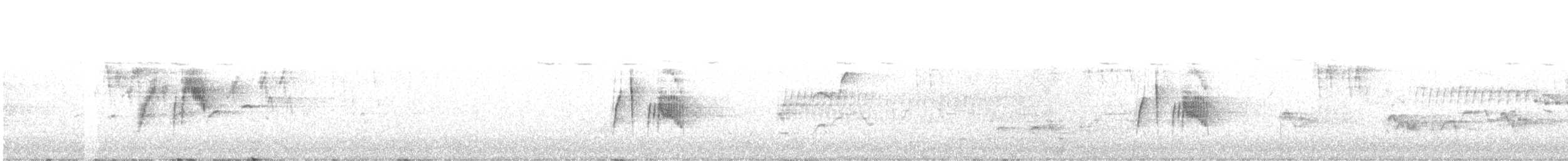 tyranovec vrbový - ML596212221