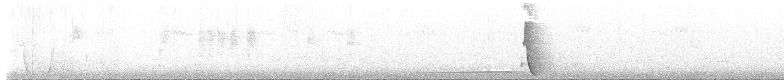 Psophode à tête noire - ML596231001