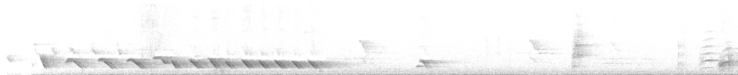 Ménure superbe - ML596240181