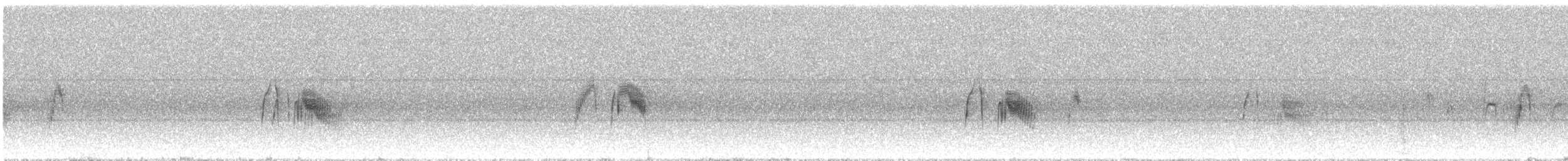 Willow Flycatcher - ML596283491