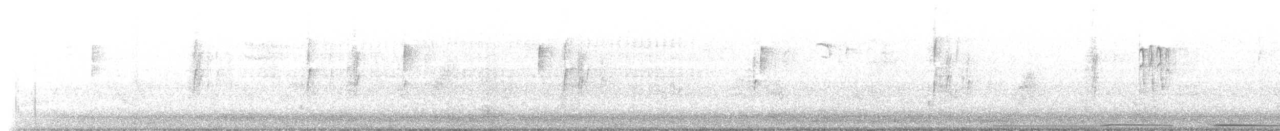 Каролинский крапивник - ML596305551