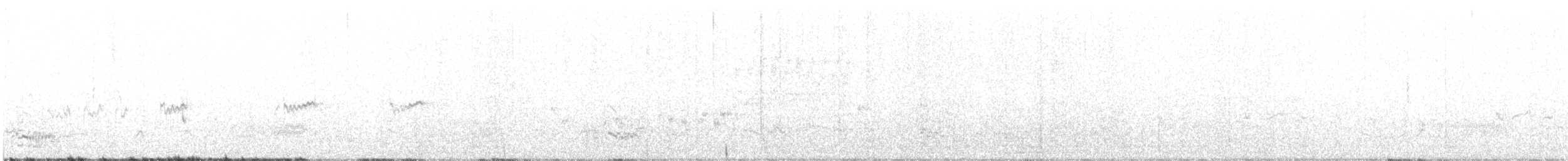 Royal Tern - ML596354481