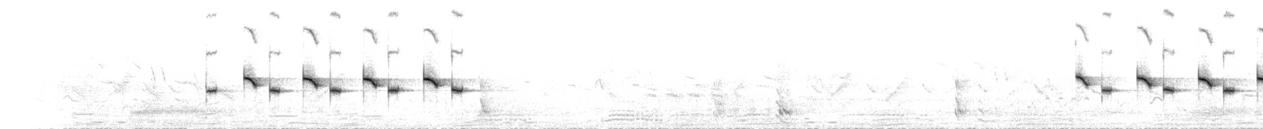 Mésange charbonnière (groupe bokharensis) - ML596361531