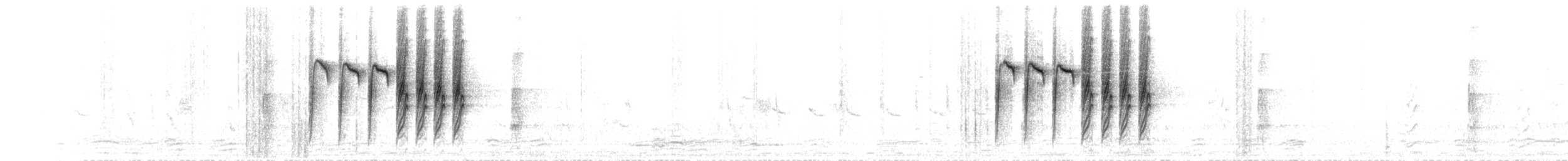 Белая лазоревка [группа cyanus] - ML596371911