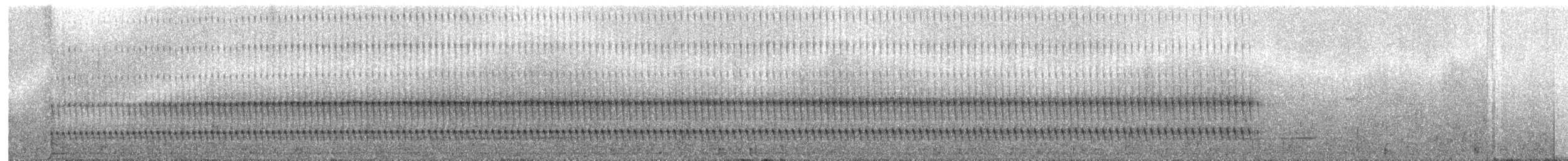 Trilling Tapaculo - ML596384981