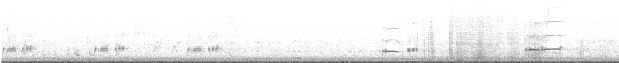 Western Grebe - ML596393981