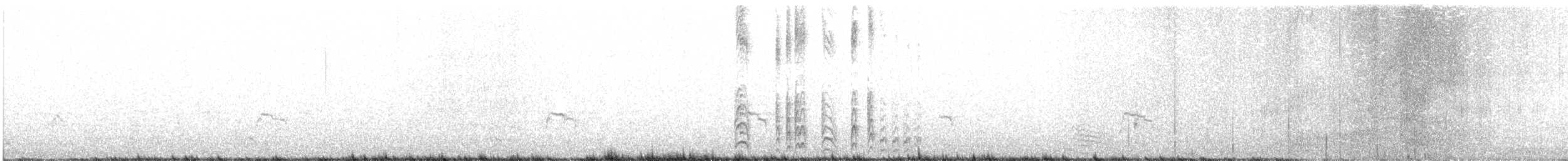 白腰叉尾海燕 - ML596402511