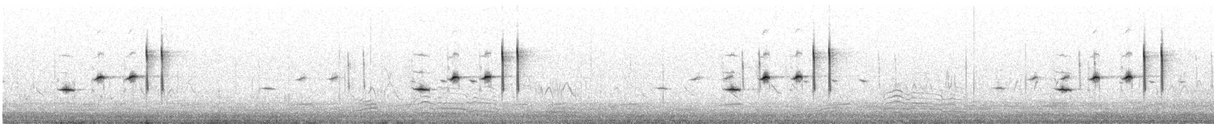 Cisticole pinc-pinc (textrix) - ML596440391