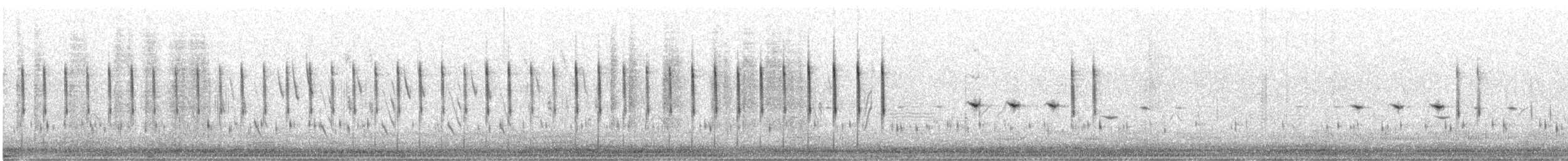 Cisticole pinc-pinc (textrix) - ML596441571