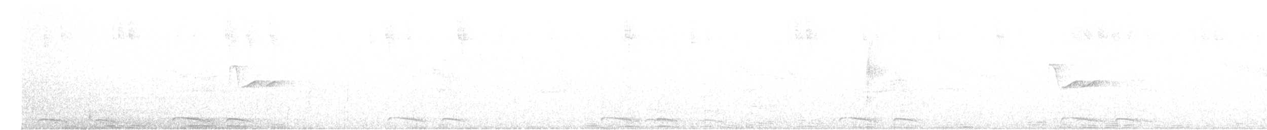 holoubek mexický - ML596451811