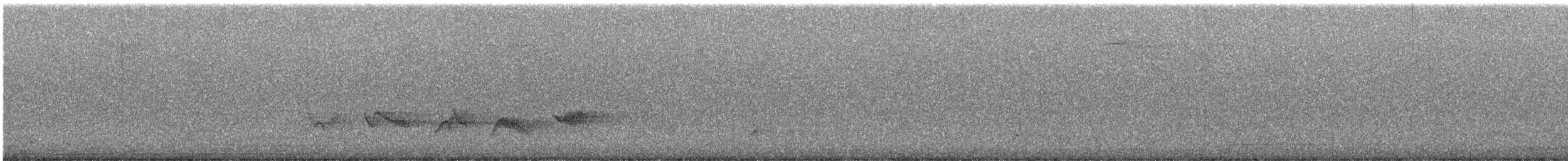 Чернокрылая пиранга - ML596455251