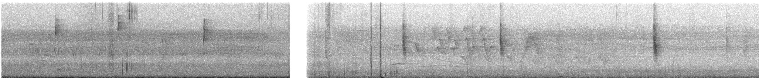 Common Yellowthroat - ML596457981