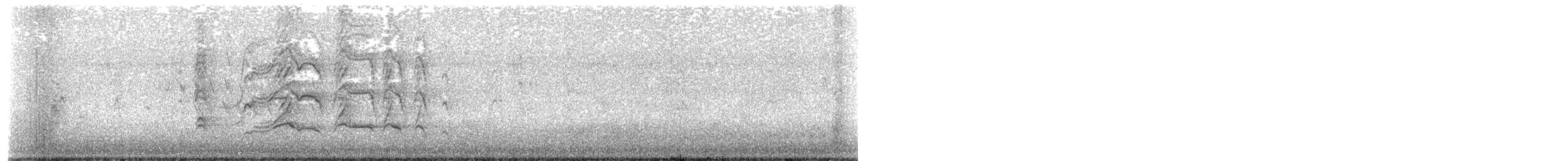 Kara Karınlı Islıkçı Ördek (fulgens) - ML596469581