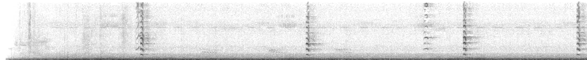 amerikasivhøne (galeata gr.) - ML596470801