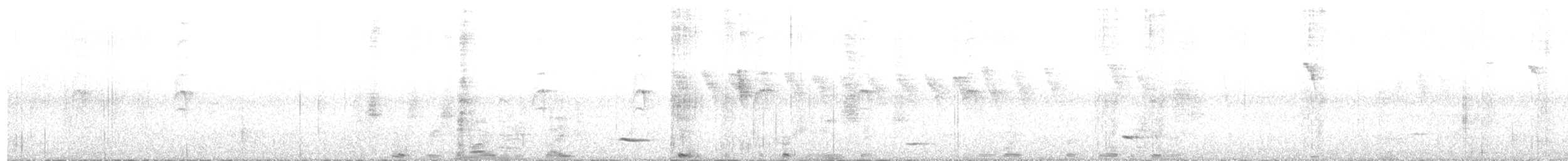 Новозеландская веерохвостка - ML596477431