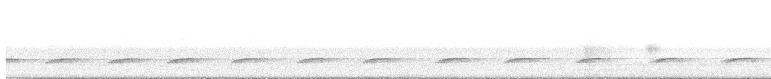 Little Spotted Kiwi - ML596480631