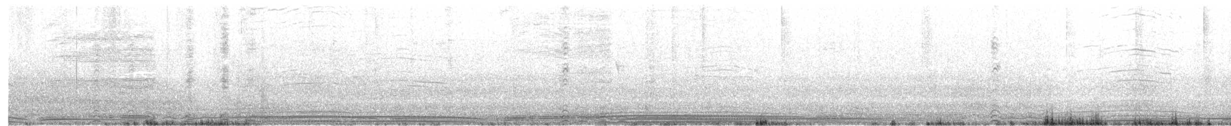 Wedge-tailed Shearwater - ML59649071