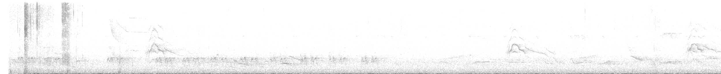 Trogon rosalba - ML596494751