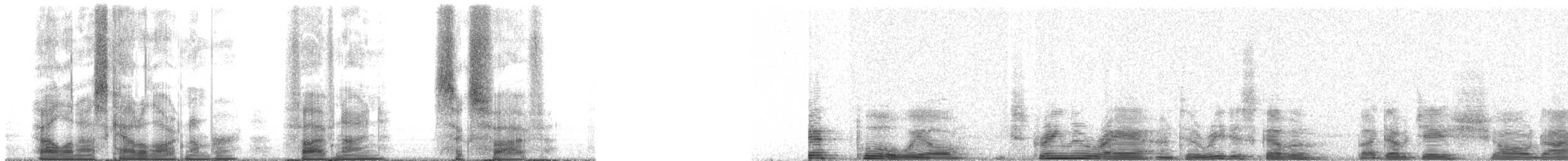 Eared Poorwill - ML5965