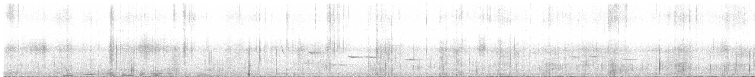 maorihonningeter - ML596500701