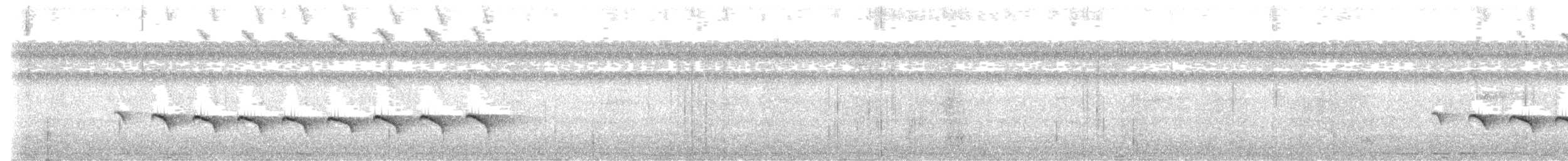 Kurzschwanz-Ameisenvogel - ML596511321