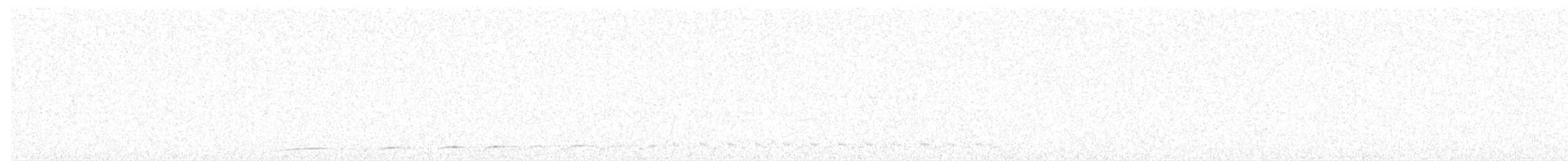 Spotted Nightjar - ML596519271