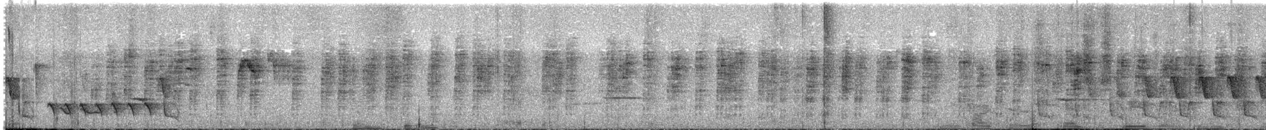 Troglodyte de Sharpe - ML596524341