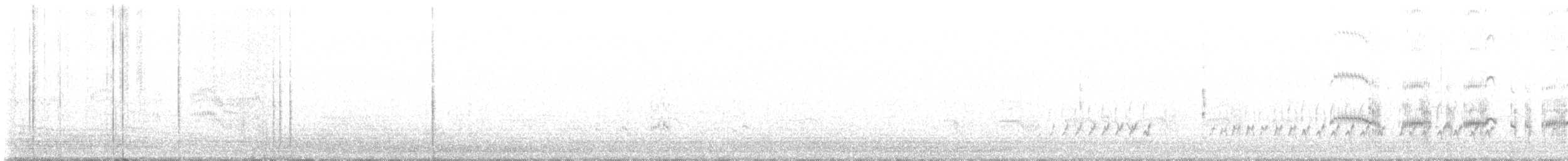 Arctic Tern - ML596534391