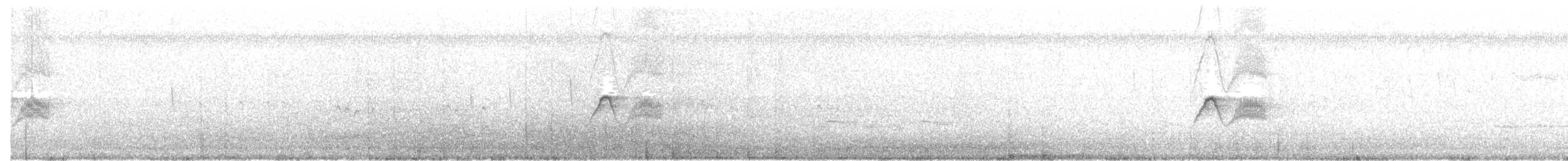 Светлобрюхий фиби - ML59653841