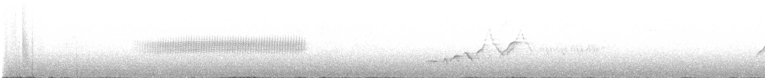 Batı Amerika Sinekkapanı (occidentalis/hellmayri) - ML596545571