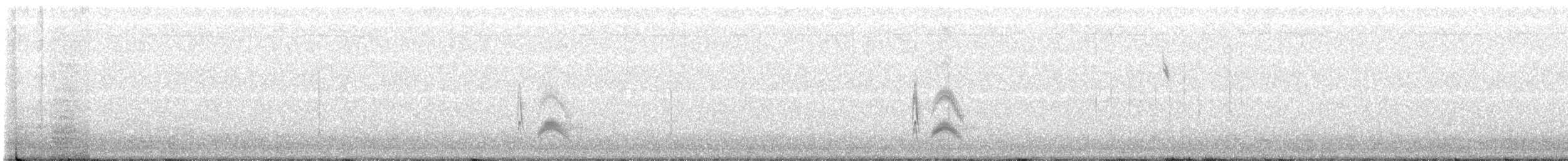 Серогрудый тиранн - ML596571011