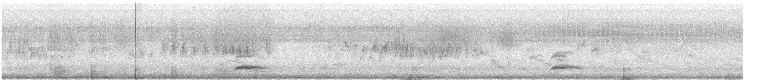 Weißkronen-Olivtyrann (Weißbauch-Olivtyrann) - ML596573141