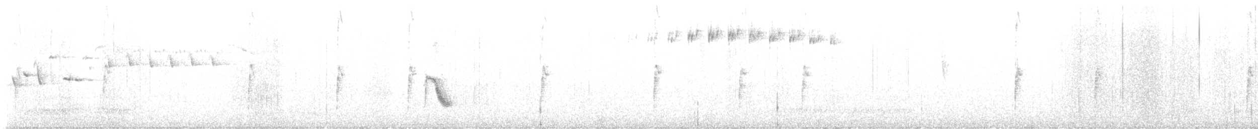 Bicknell's Thrush - ML596601461