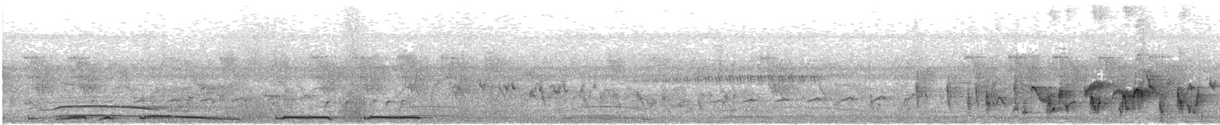 Вилохвостая дронговая кукушка - ML596601701