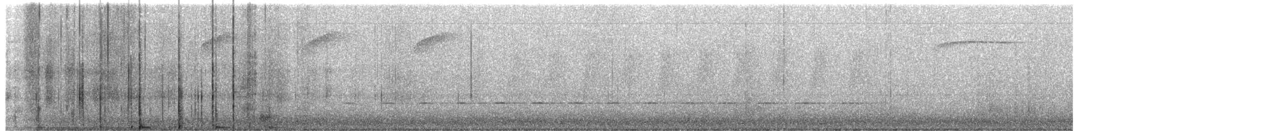 Spotted Quail-thrush - ML596603701