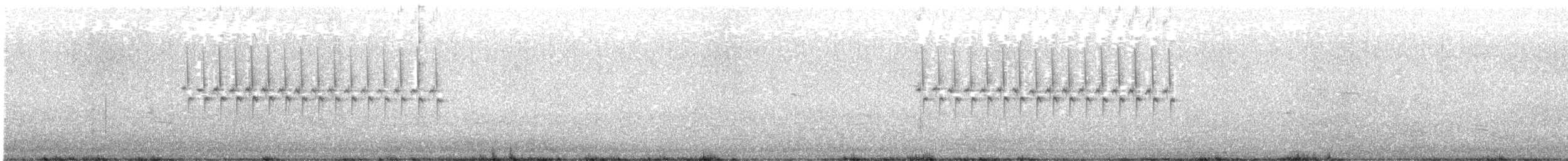 Kara Gözlü Junko (hyemalis/carolinensis) - ML596628621