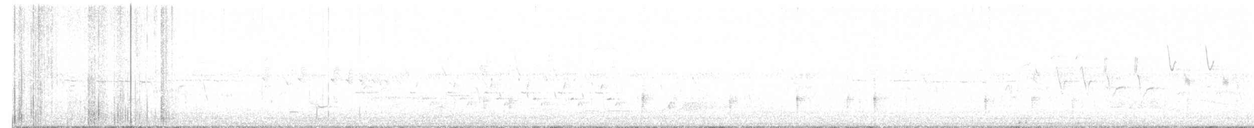 Каролинский крапивник - ML596640371