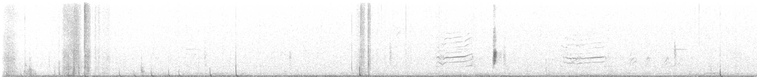 Sturnella meadowlark sp. - ML596654351