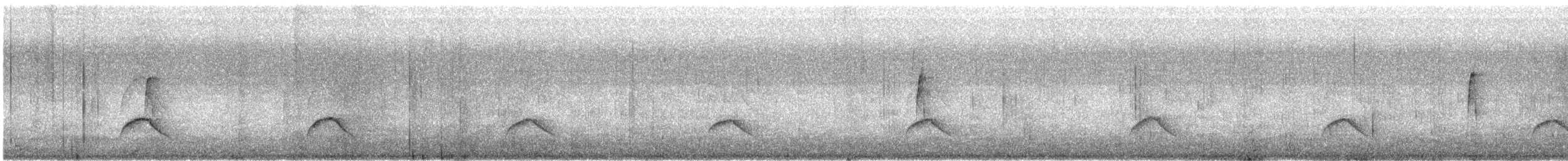 Серобокая трясохвостка - ML596675491