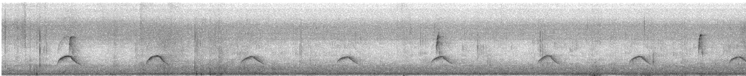 Buff-winged Cinclodes - ML596675491