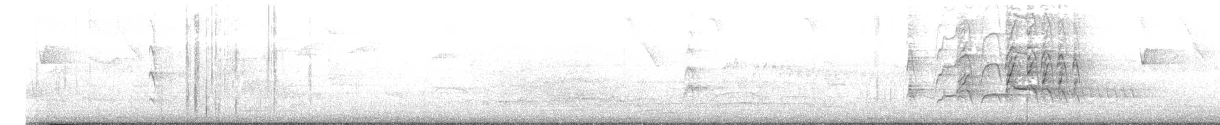 Black-bellied Whistling-Duck - ML596688351