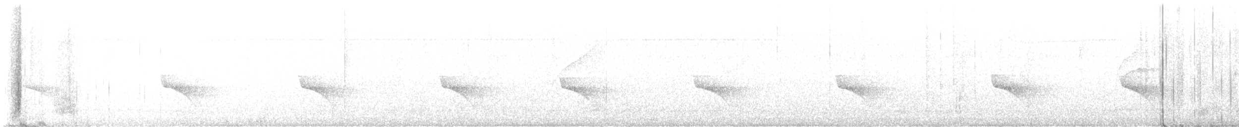 Grauwangen-Ameisenvogel - ML596696301