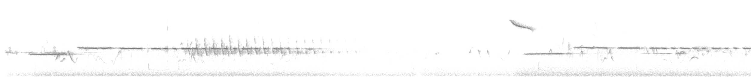 Белогорлая зонотрихия - ML596700371