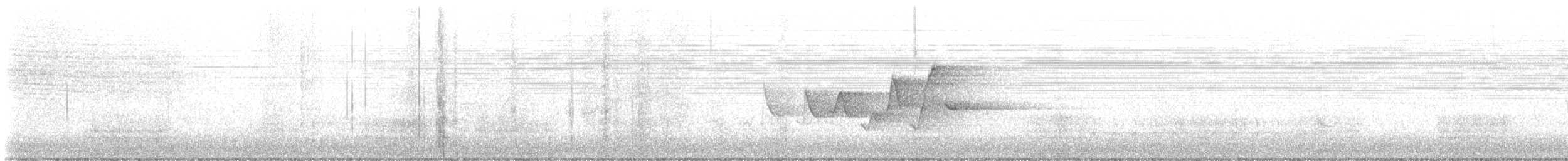 Kapuzenwaldsänger - ML596708541