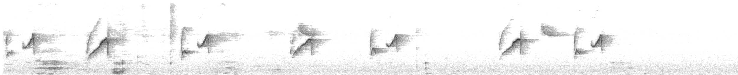 Graubauch-Dickichtschlüpfer - ML596720471