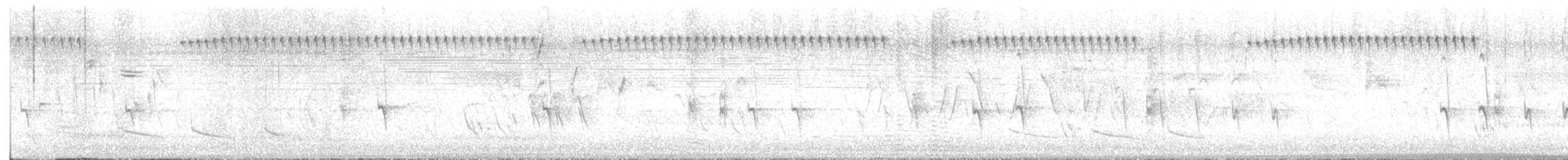 Mokokerra (2 mota) - ML596725901