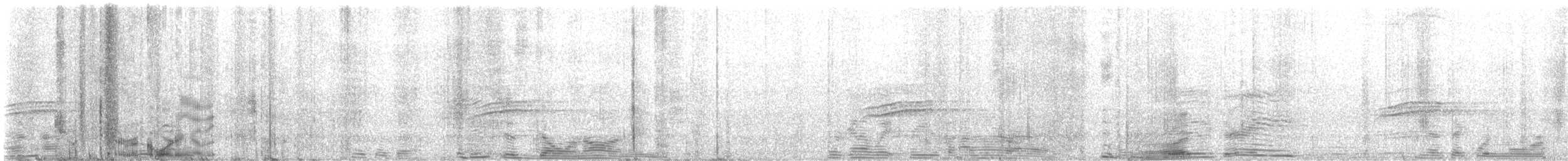 Hermit Thrush - ML596753461