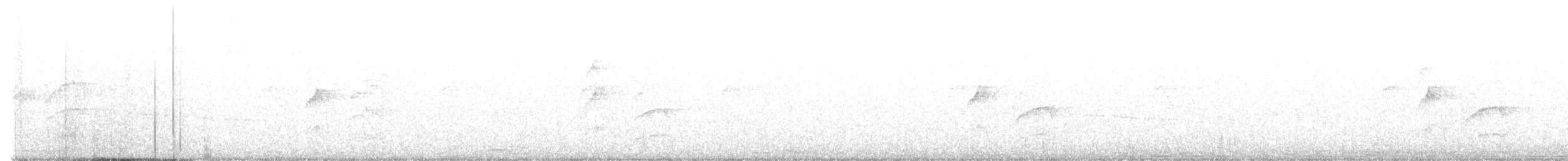 Streifenbrust-Dickichtschlüpfer - ML596768381