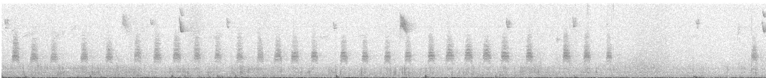 Troglodyte de Latham (aequatorialis) - ML596769121