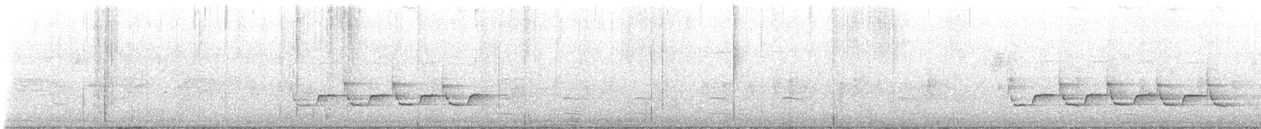 Troglodyte de Caroline - ML596787221